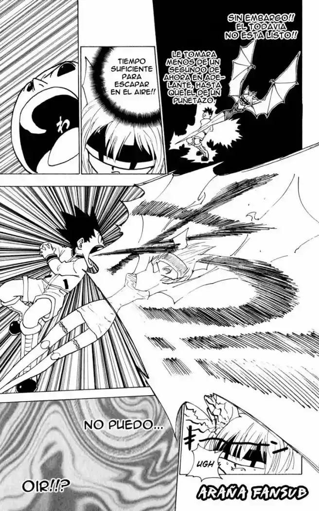Hunter X Hunter (1998) - Capítulo 232 - Página 11 - LectorTMOo