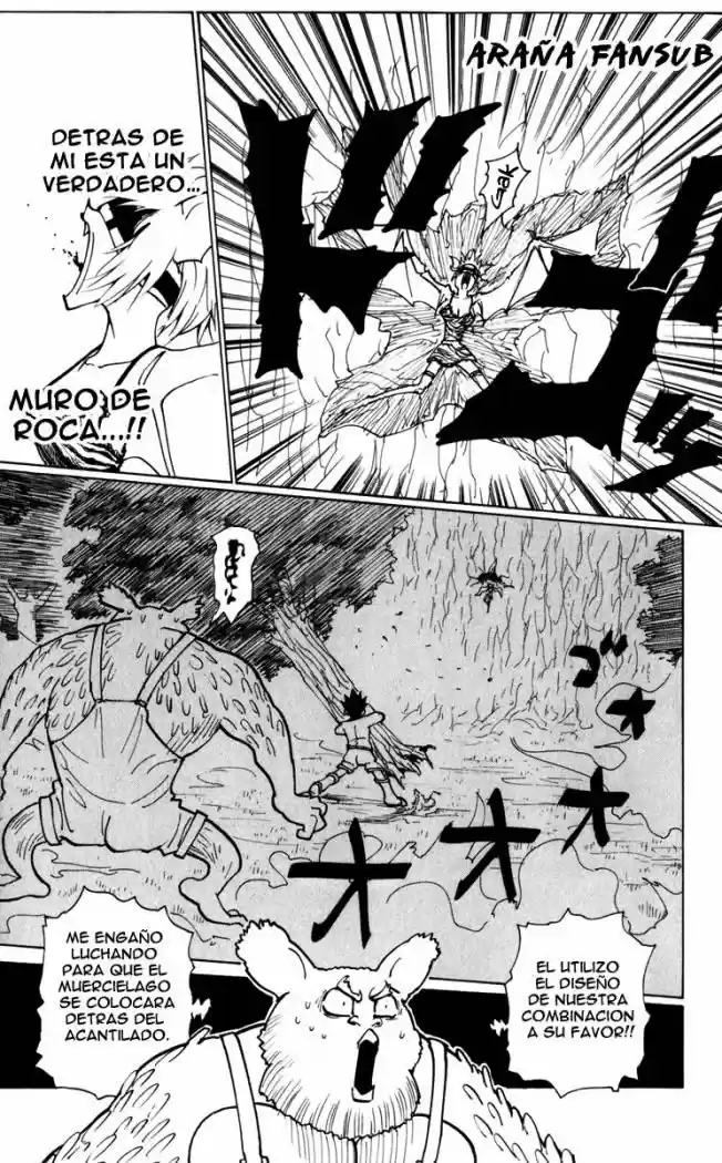 Hunter X Hunter (1998) - Capítulo 233 - Página 11 - LectorTMOo