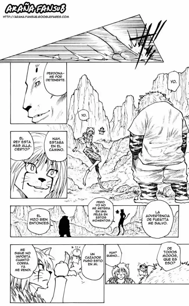 Hunter X Hunter (1998) - Capítulo 235 - Página 10 - LectorTMOo