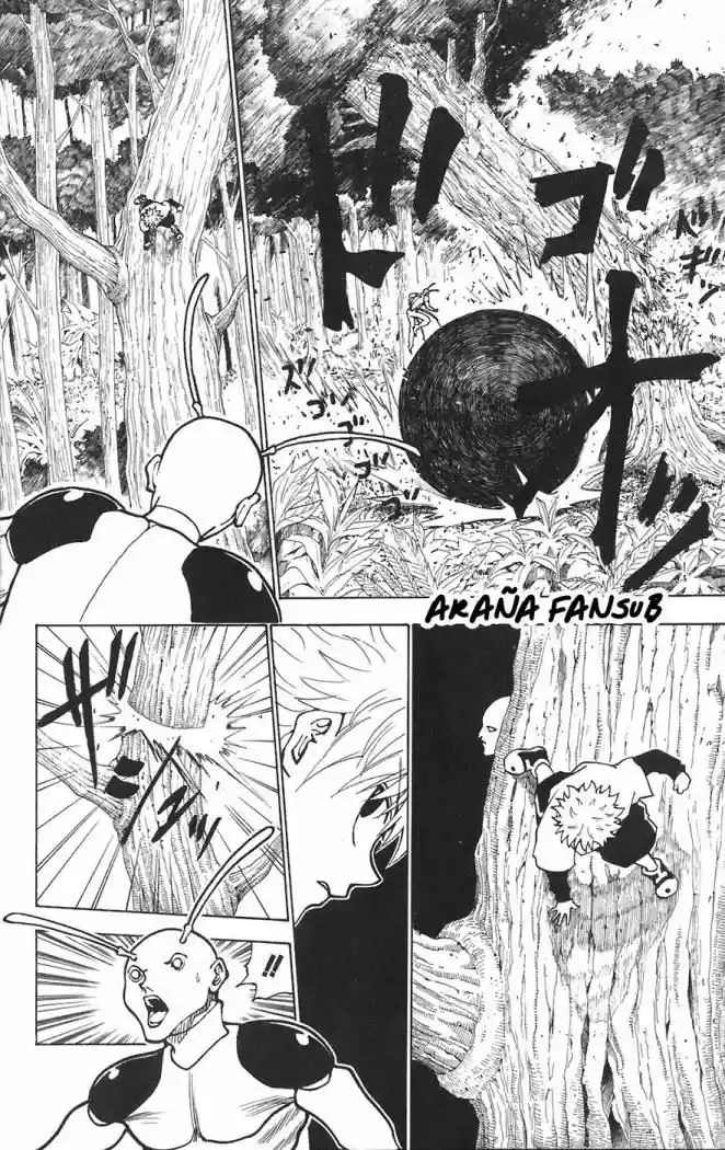 Hunter X Hunter (1998) - Capítulo 236 - Página 2 - LectorTMOo