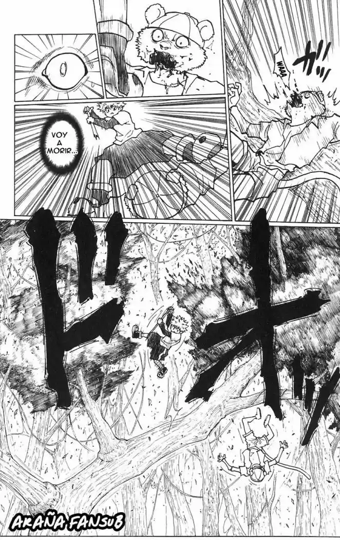 Hunter X Hunter (1998) - Capítulo 236 - Página 8 - LectorTMOo