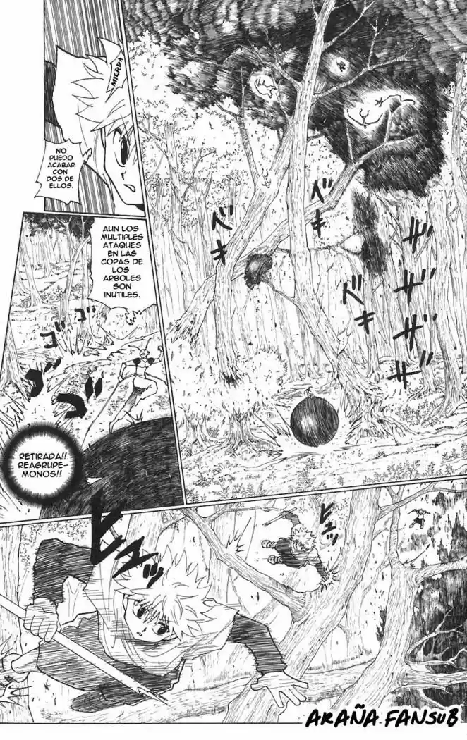 Hunter X Hunter (1998) - Capítulo 236 - Página 9 - LectorTMOo