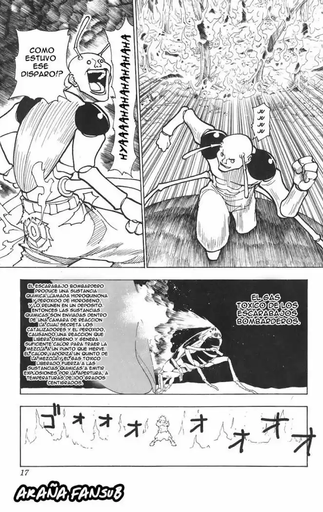 Hunter X Hunter (1998) - Capítulo 236 - Página 11 - LectorTMOo