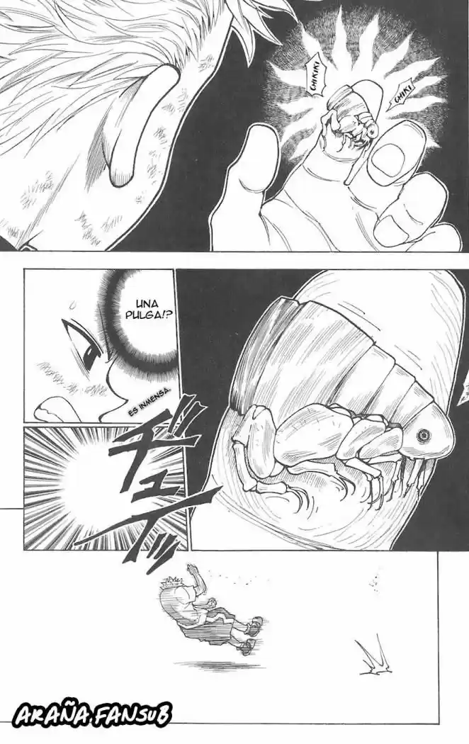 Hunter X Hunter (1998) - Capítulo 236 - Página 14 - LectorTMOo