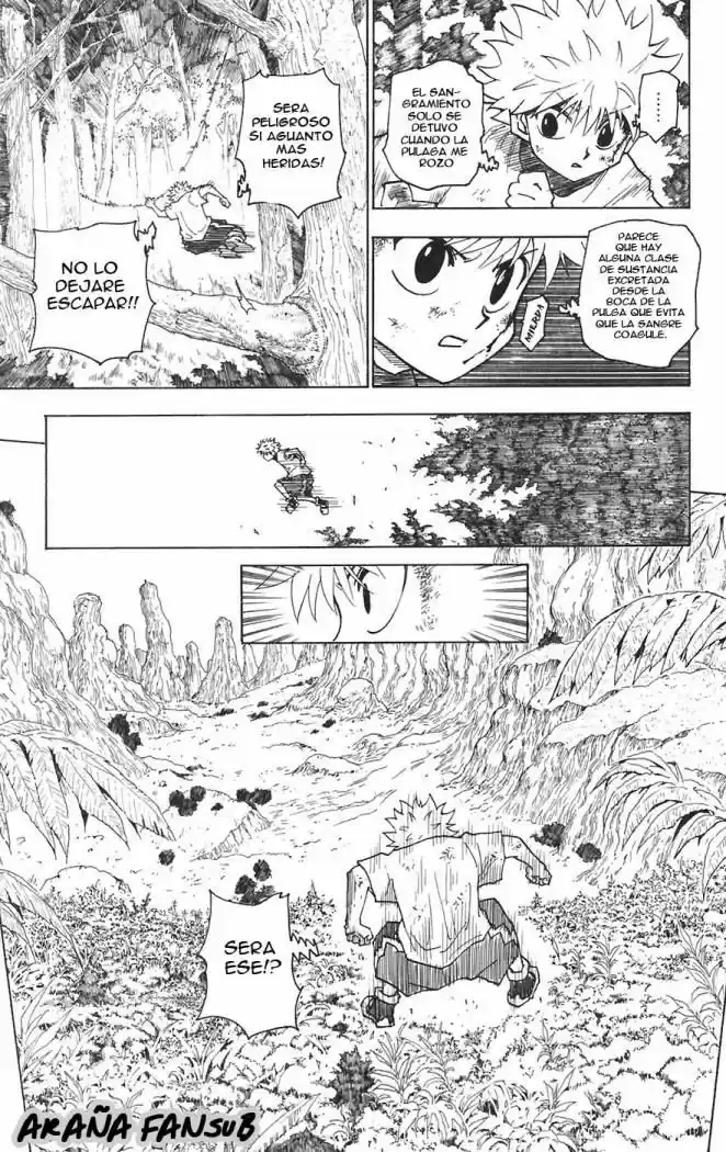 Hunter X Hunter (1998) - Capítulo 237 - Página 10 - LectorTMOo