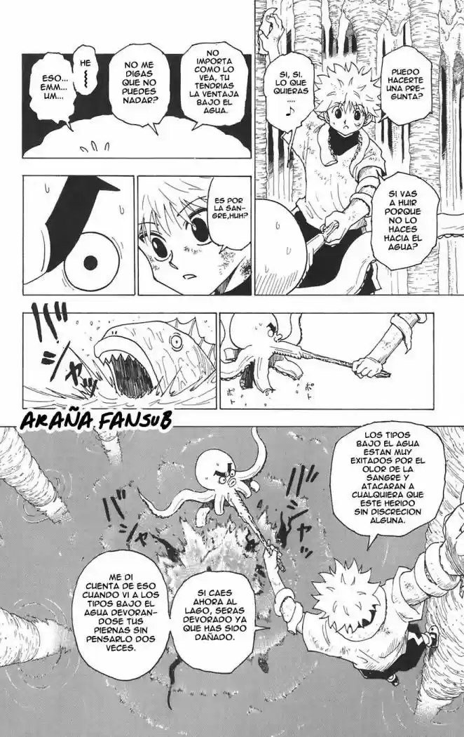 Hunter X Hunter (1998) - Capítulo 238 - Página 6 - LectorTMOo
