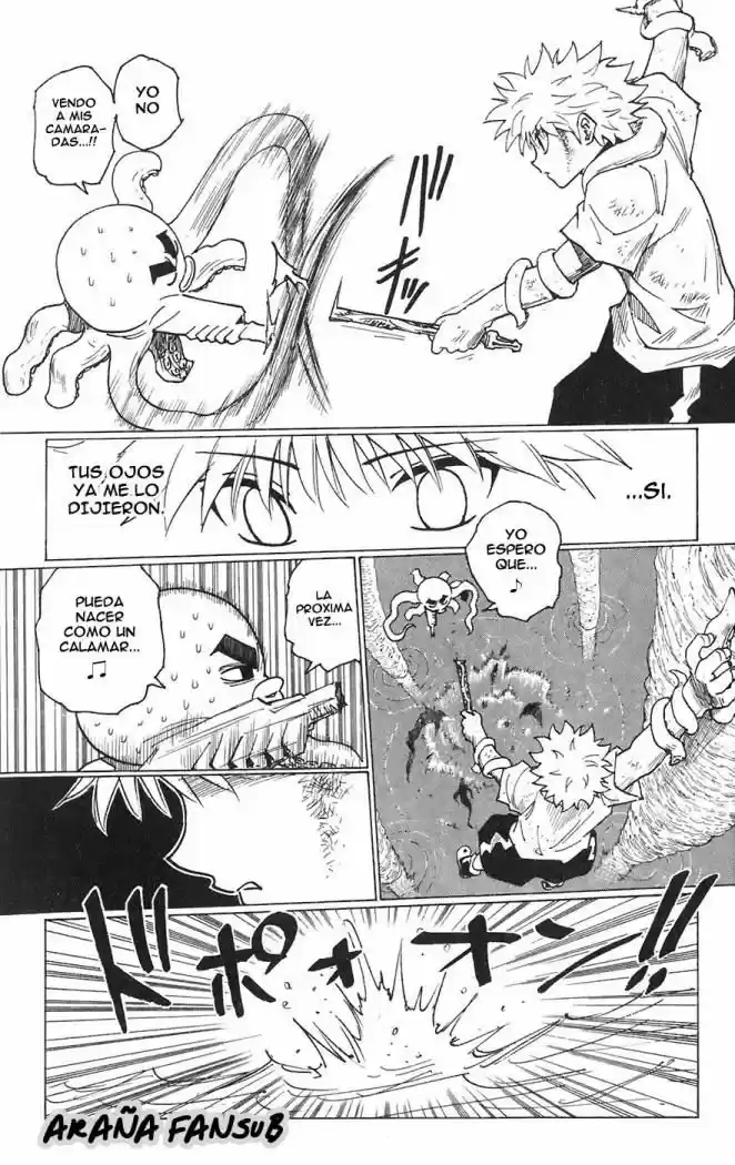 Hunter X Hunter (1998) - Capítulo 238 - Página 9 - LectorTMOo