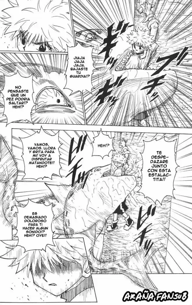 Hunter X Hunter (1998) - Capítulo 238 - Página 13 - LectorTMOo