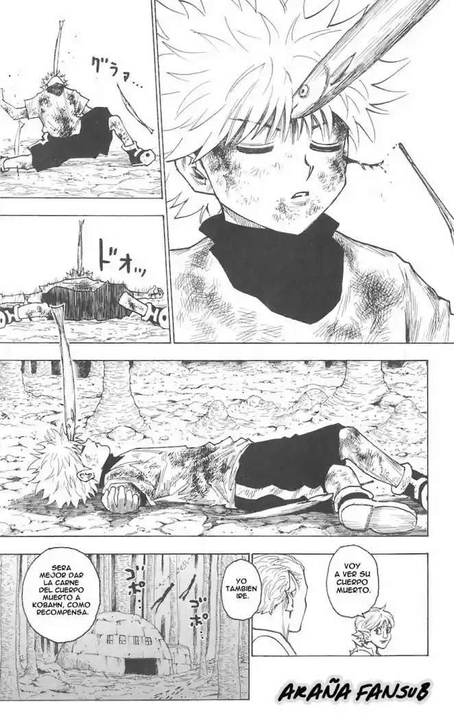 Hunter X Hunter (1998) - Capítulo 240 - Página 8 - LectorTMOo