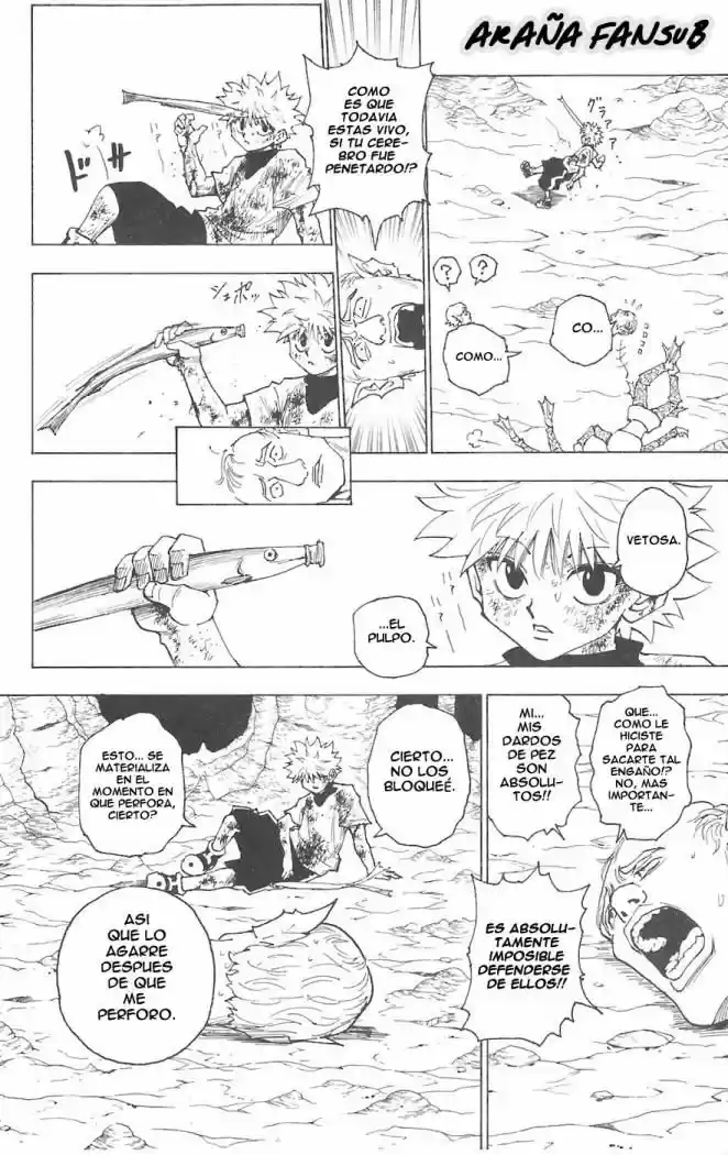 Hunter X Hunter (1998) - Capítulo 240 - Página 11 - LectorTMOo