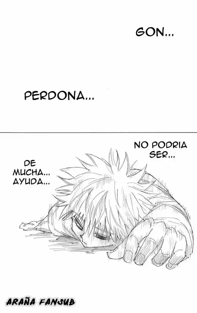 Hunter X Hunter (1998) - Capítulo 241 - Página 5 - LectorTMOo