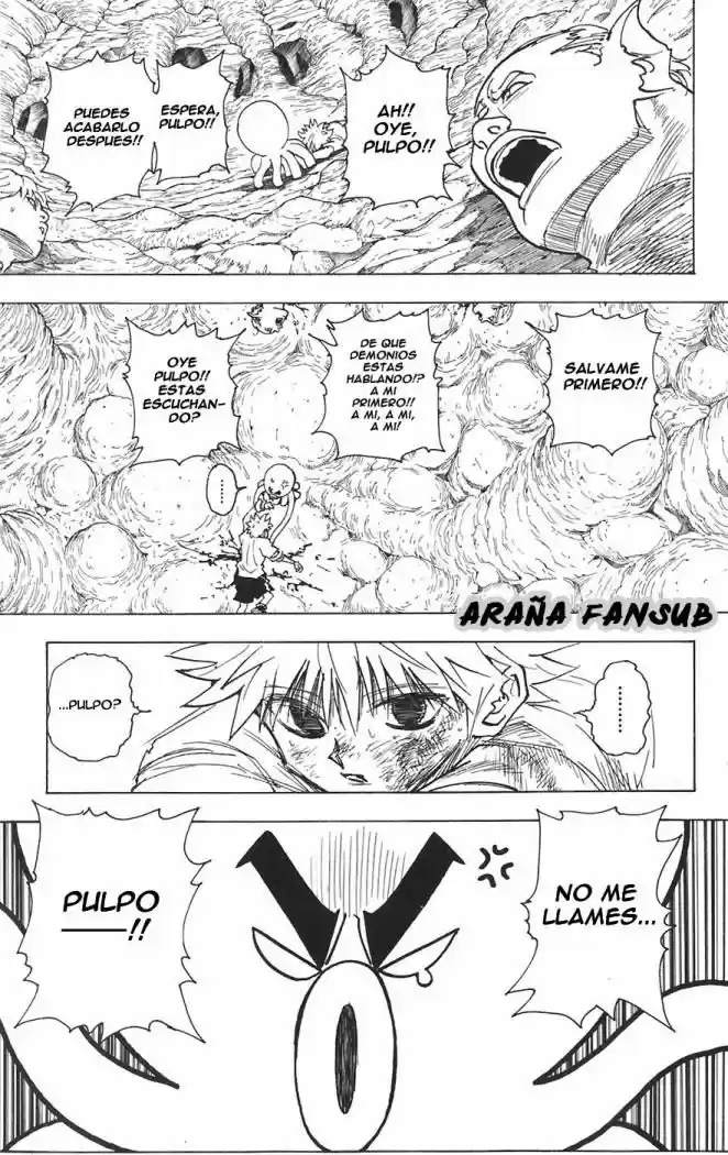 Hunter X Hunter (1998) - Capítulo 241 - Página 7 - LectorTMOo