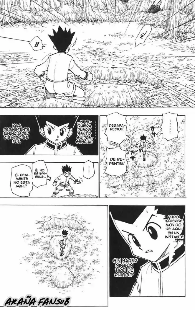 Hunter X Hunter (1998) - Capítulo 242 - Página 5 - LectorTMOo