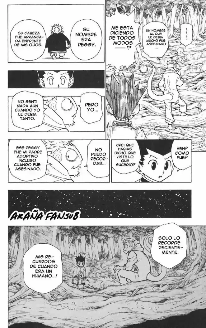 Hunter X Hunter (1998) - Capítulo 242 - Página 12 - LectorTMOo