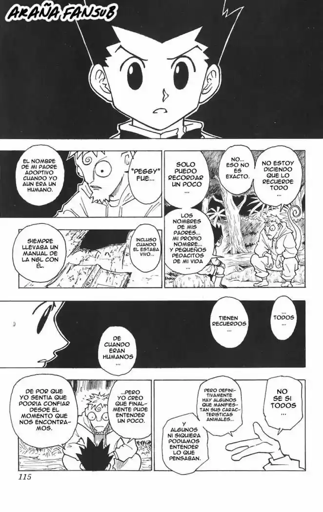 Hunter X Hunter (1998) - Capítulo 242 - Página 13 - LectorTMOo