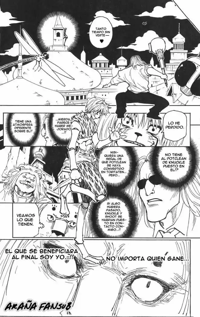 Hunter X Hunter (1998) - Capítulo 244 - Página 15 - LectorTMOo