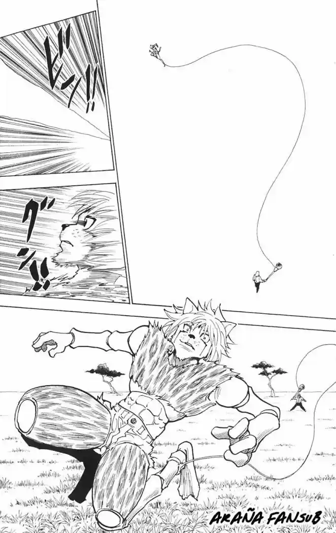 Hunter X Hunter (1998) - Capítulo 247 - Página 12 - LectorTMOo