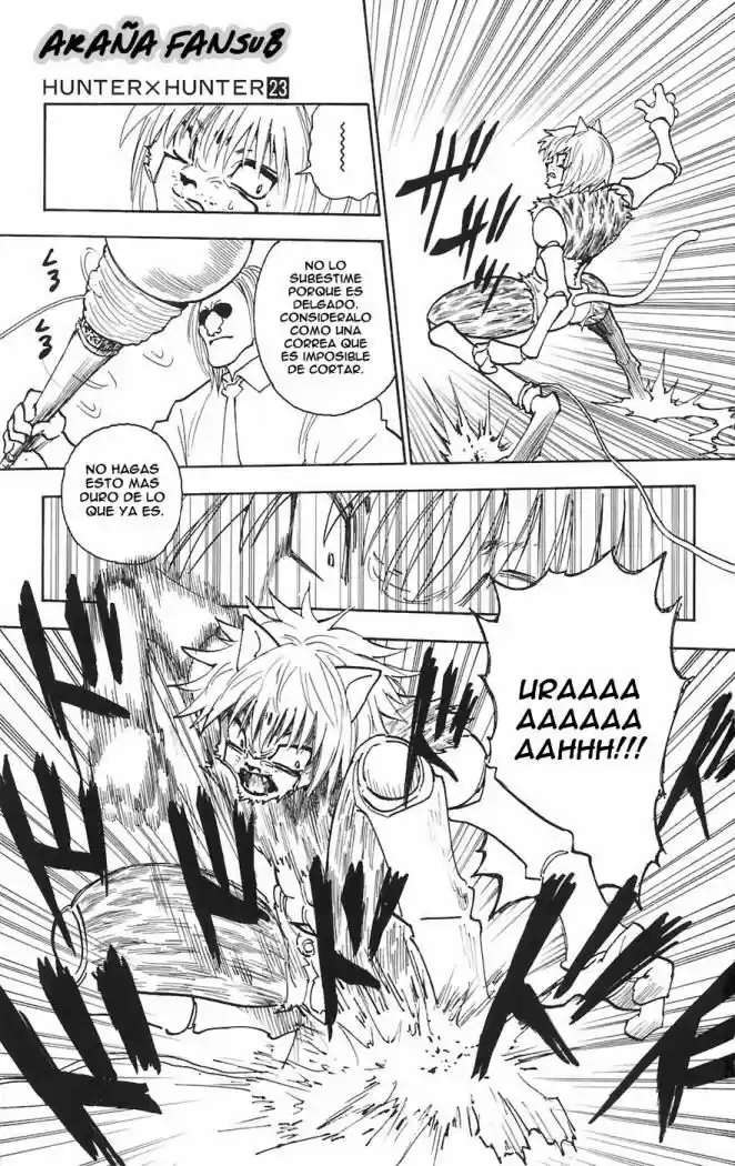 Hunter X Hunter (1998) - Capítulo 247 - Página 13 - LectorTMOo