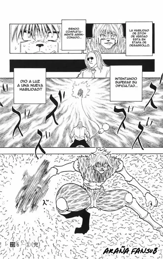 Hunter X Hunter (1998) - Capítulo 247 - Página 15 - LectorTMOo