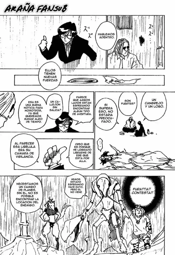 Hunter X Hunter (1998) - Capítulo 248 - Página 9 - LectorTMOo