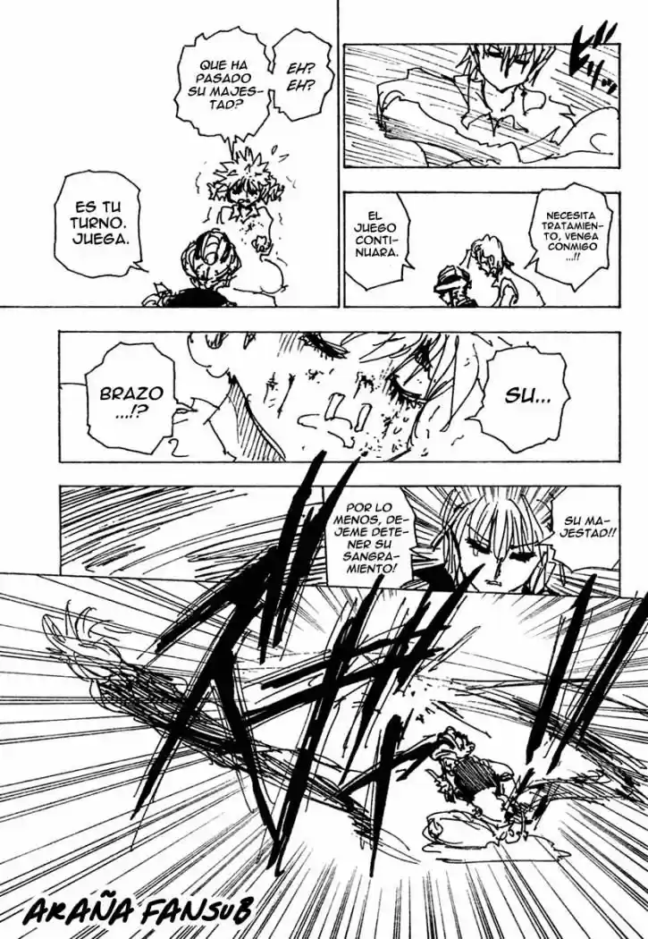 Hunter X Hunter (1998) - Capítulo 249 - Página 9 - LectorTMOo