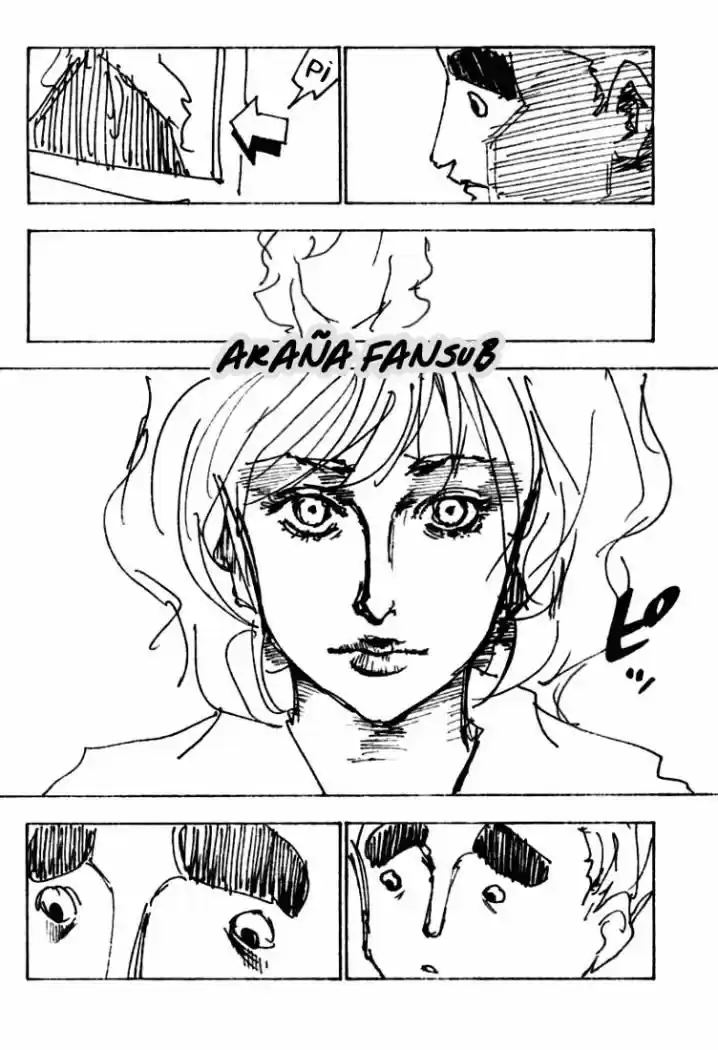 Hunter X Hunter (1998) - Capítulo 250 - Página 14 - LectorTMOo