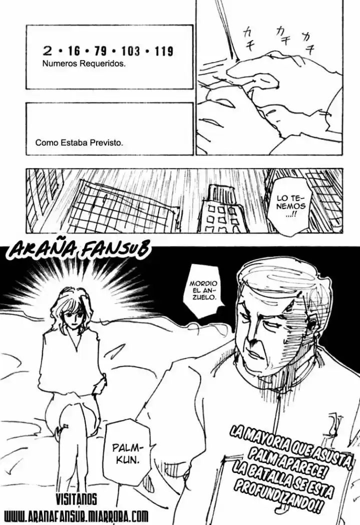 Hunter X Hunter (1998) - Capítulo 250 - Página 15 - LectorTMOo