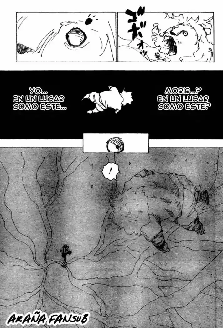 Hunter X Hunter (1998) - Capítulo 254 - Página 11 - LectorTMOo
