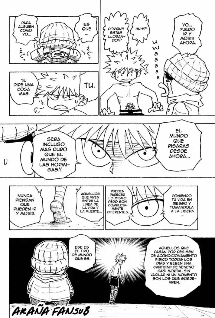Hunter X Hunter (1998) - Capítulo 255 - Página 9 - LectorTMOo