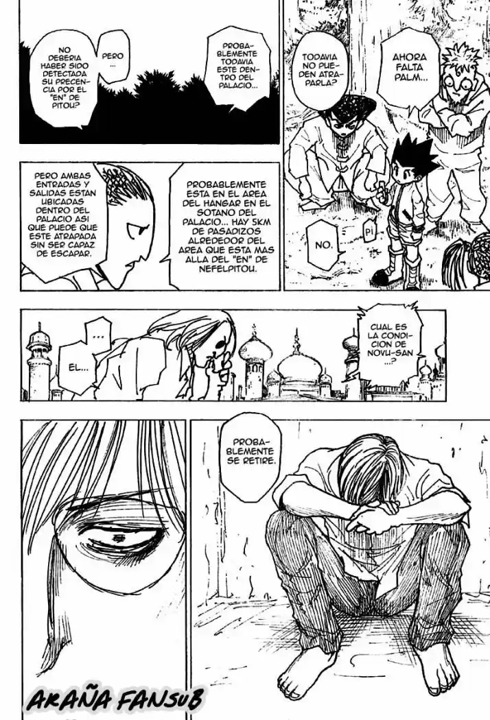 Hunter X Hunter (1998) - Capítulo 255 - Página 11 - LectorTMOo