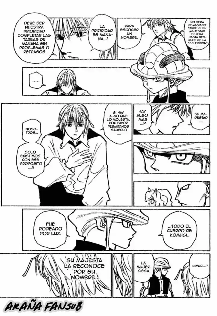Hunter X Hunter (1998) - Capítulo 257 - Página 11 - LectorTMOo