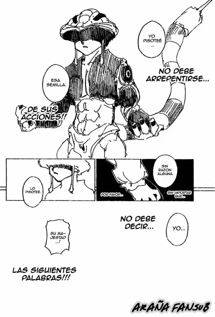 Hunter X Hunter (1998) - Capítulo 257 - Página 14 - LectorTMOo
