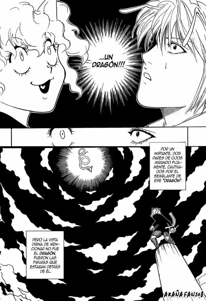 Hunter X Hunter (1998) - Capítulo 263 - Página 9 - LectorTMOo