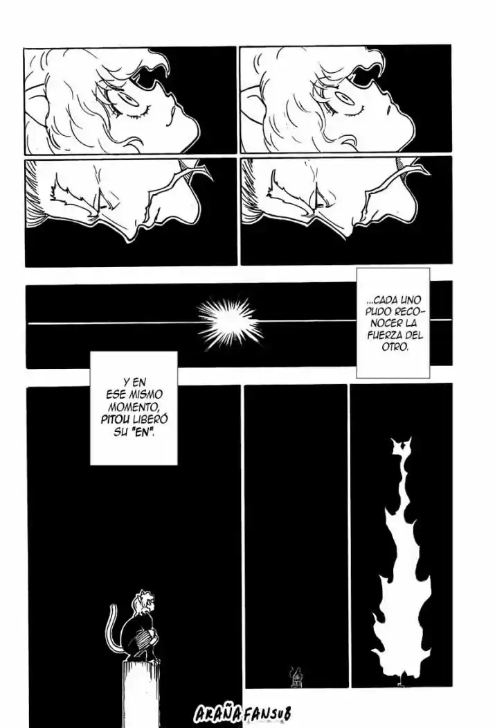 Hunter X Hunter (1998) - Capítulo 263 - Página 13 - LectorTMOo