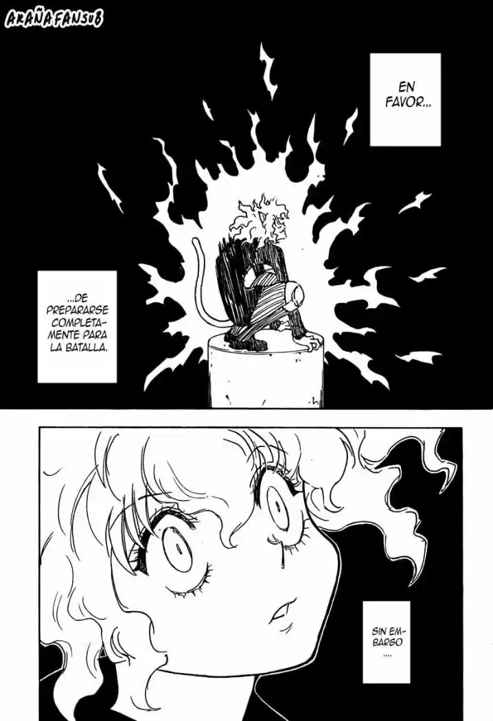 Hunter X Hunter (1998) - Capítulo 263 - Página 14 - LectorTMOo