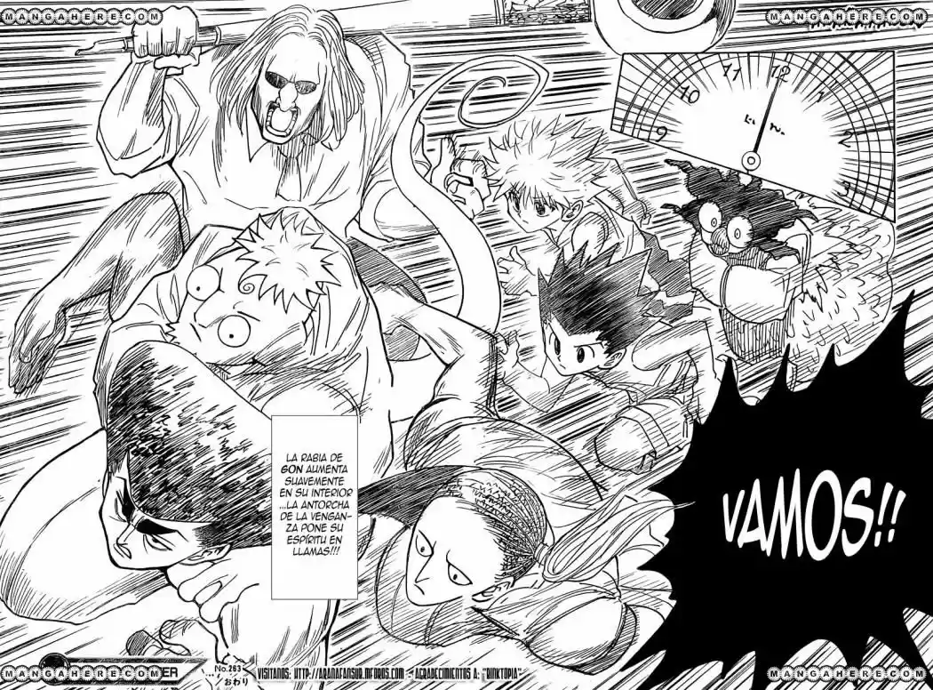 Hunter X Hunter (1998) - Capítulo 263 - Página 17 - LectorTMOo