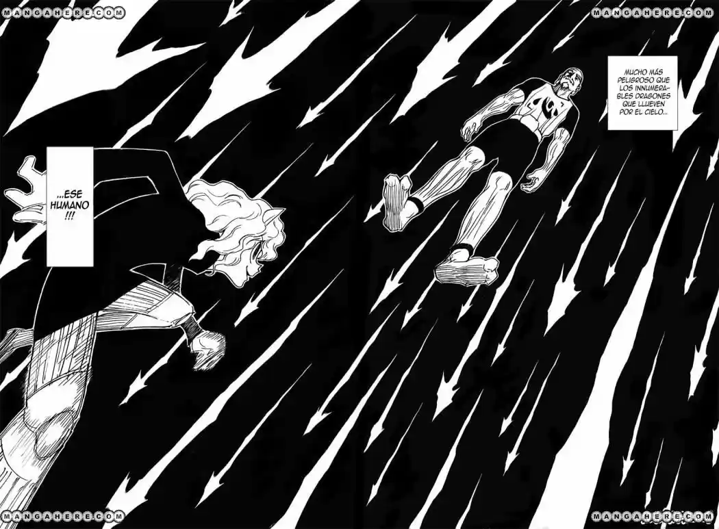 Hunter X Hunter (1998) - Capítulo 264 - Página 5 - LectorTMOo