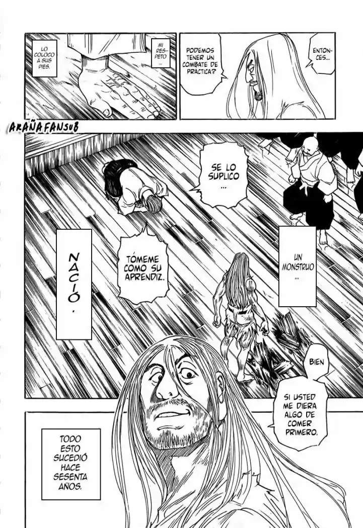 Hunter X Hunter (1998) - Capítulo 265 - Página 9 - LectorTMOo