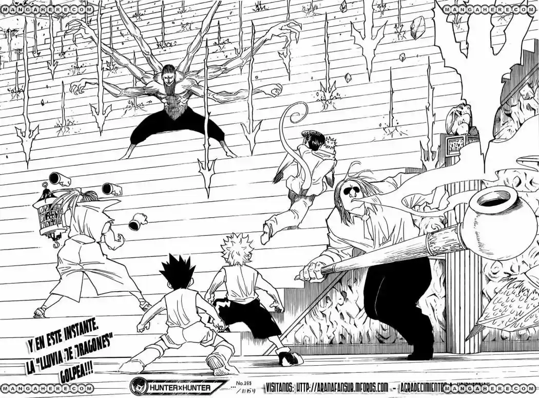 Hunter X Hunter (1998) - Capítulo 265 - Página 16 - LectorTMOo