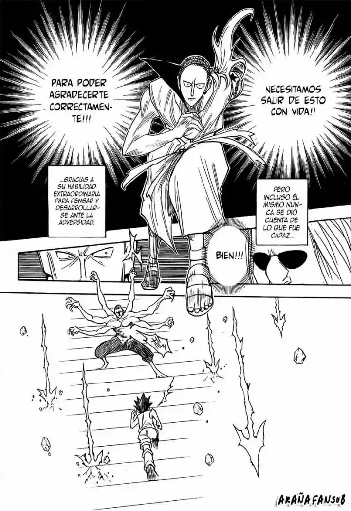 Hunter X Hunter (1998) - Capítulo 266 - Página 13 - LectorTMOo