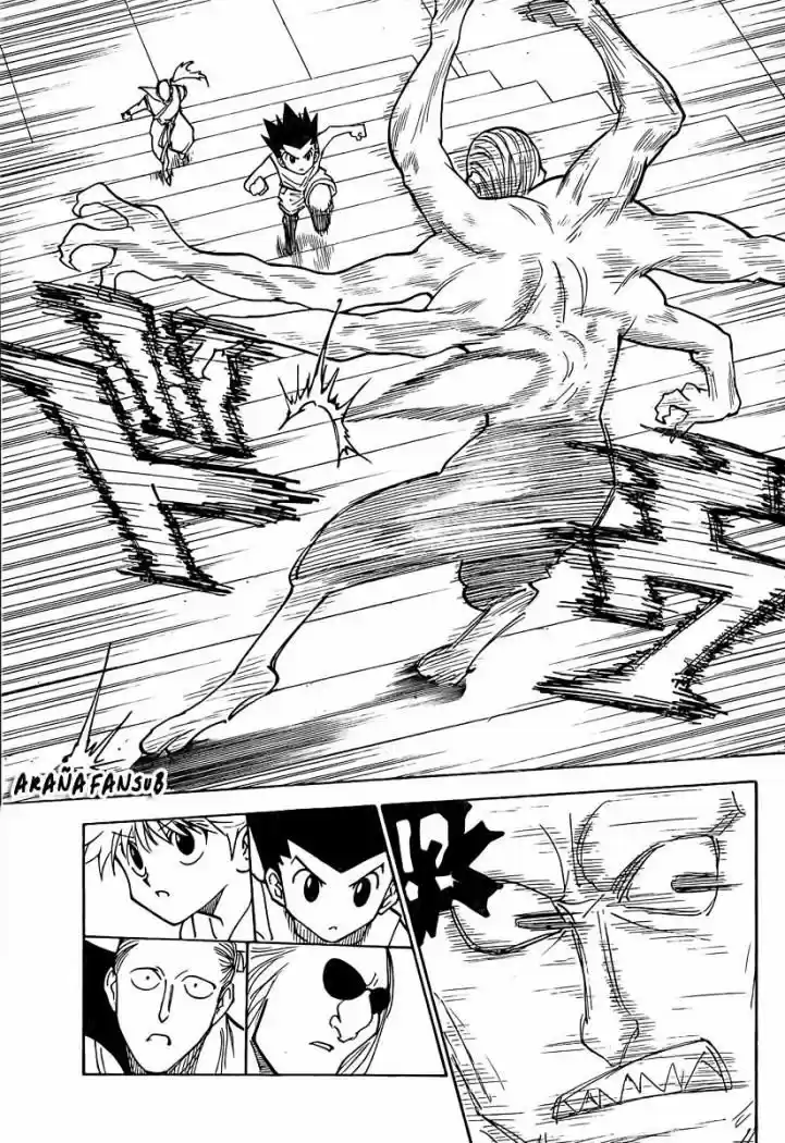 Hunter X Hunter (1998) - Capítulo 266 - Página 14 - LectorTMOo