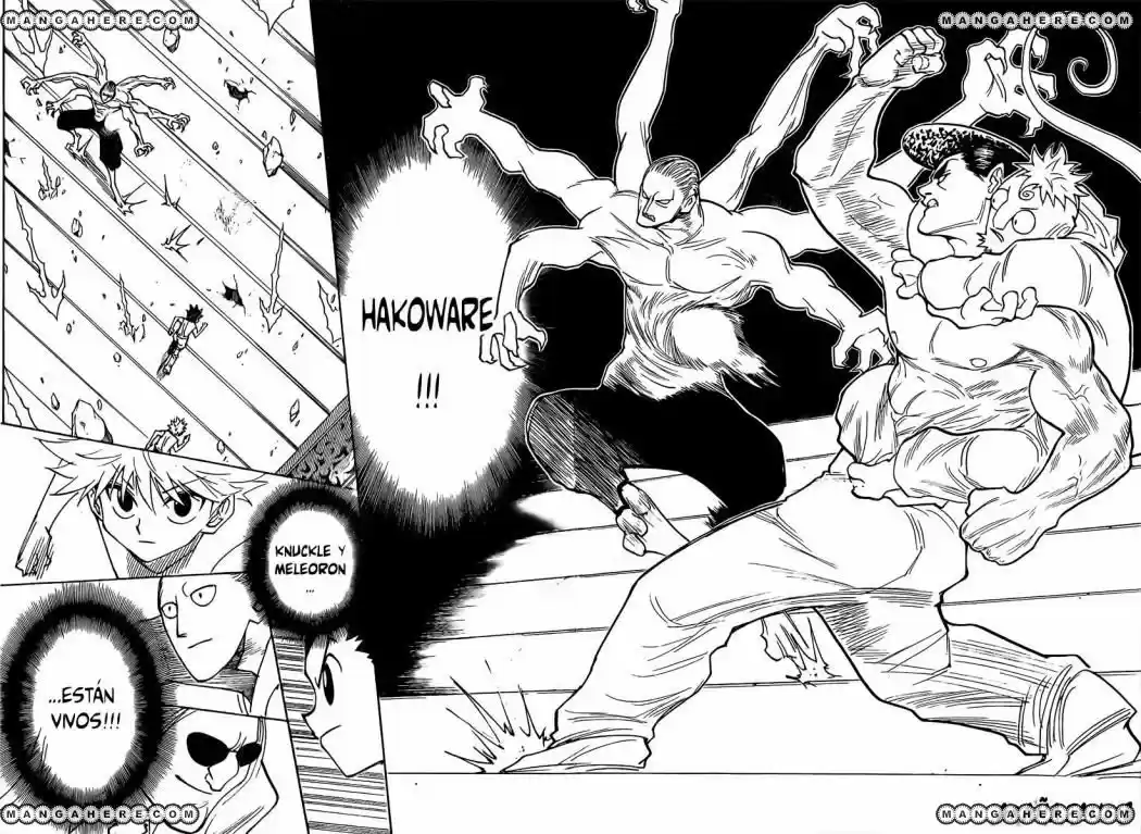 Hunter X Hunter (1998) - Capítulo 266 - Página 15 - LectorTMOo