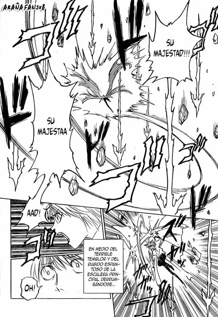 Hunter X Hunter (1998) - Capítulo 266 - Página 16 - LectorTMOo