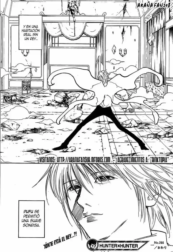Hunter X Hunter (1998) - Capítulo 266 - Página 17 - LectorTMOo