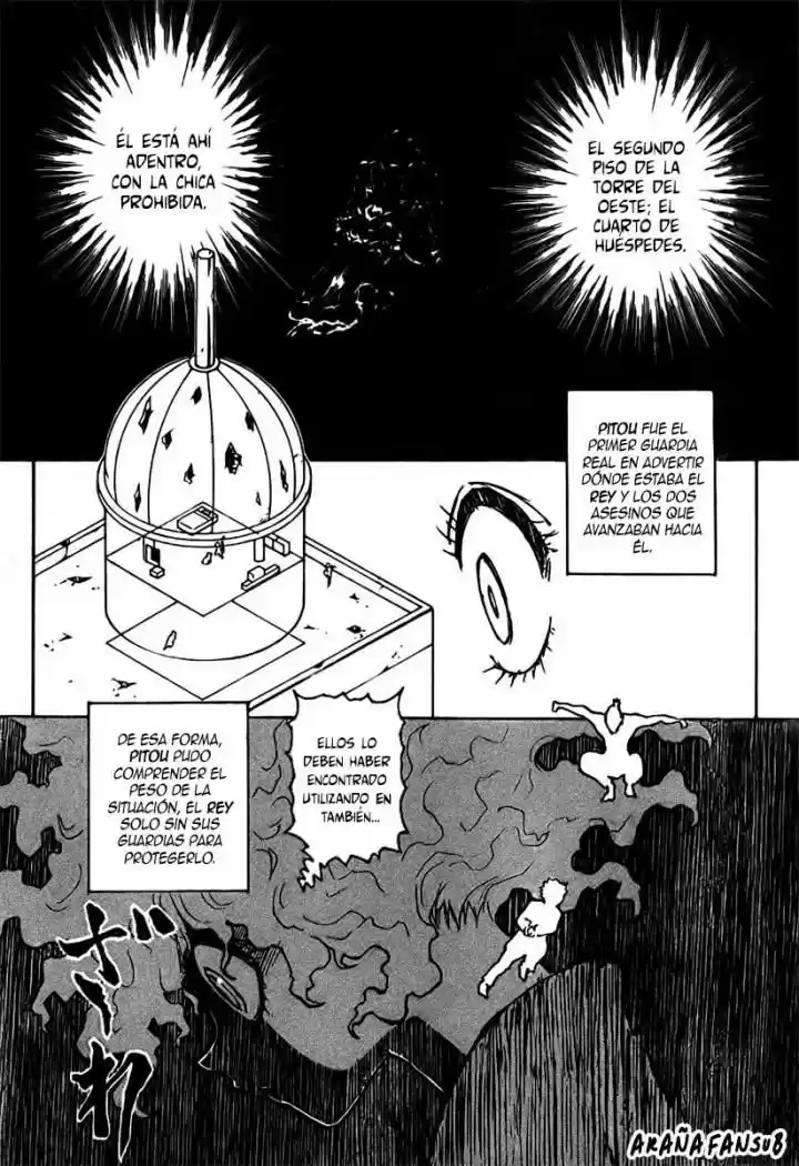 Hunter X Hunter (1998) - Capítulo 267 - Página 11 - LectorTMOo