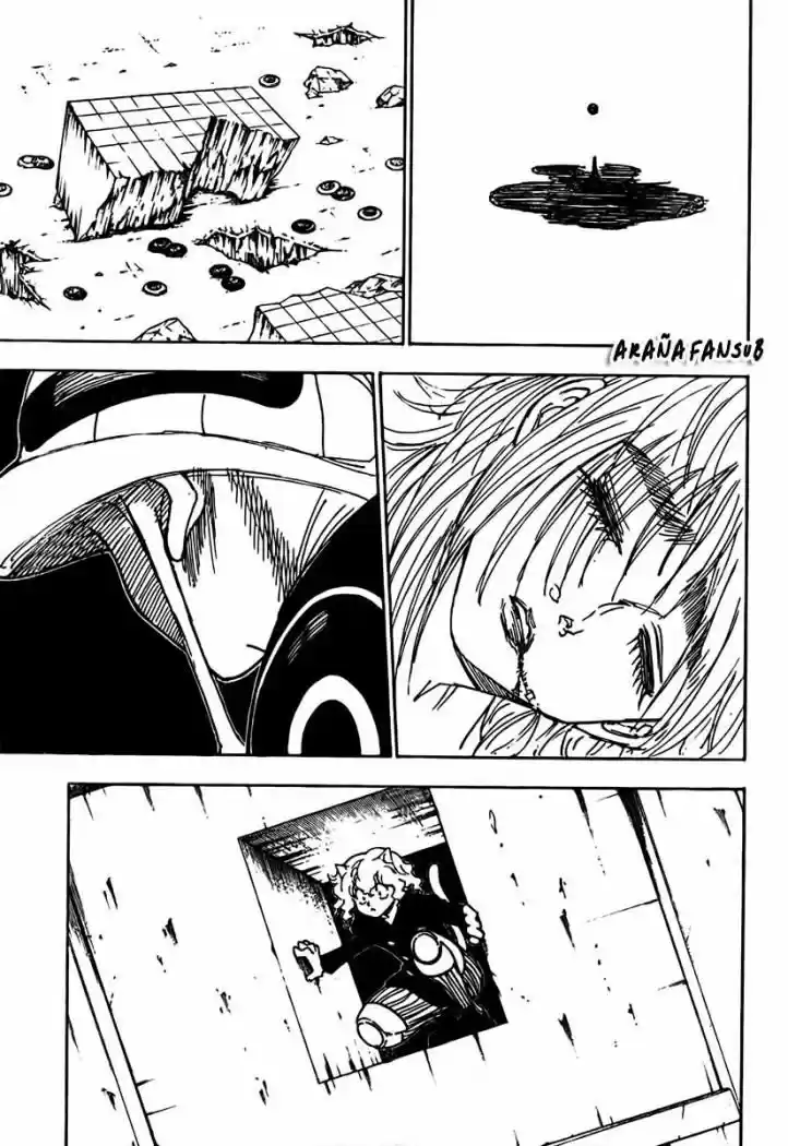 Hunter X Hunter (1998) - Capítulo 267 - Página 15 - LectorTMOo