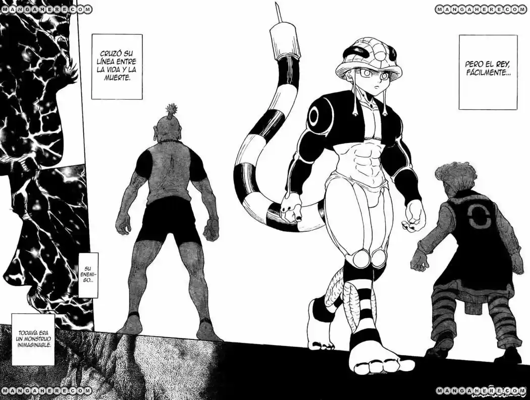 Hunter X Hunter (1998) - Capítulo 268 - Página 10 - LectorTMOo