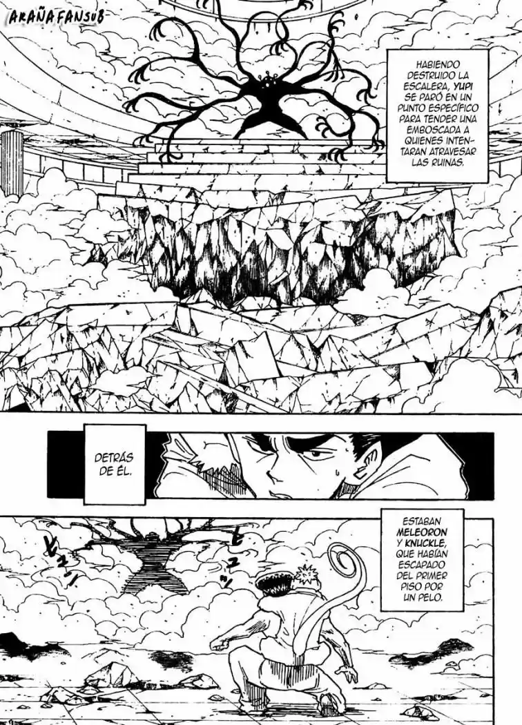 Hunter X Hunter (1998) - Capítulo 268 - Página 12 - LectorTMOo