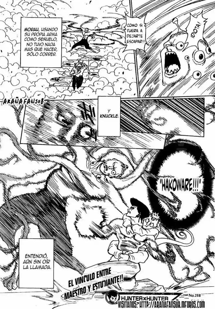 Hunter X Hunter (1998) - Capítulo 268 - Página 16 - LectorTMOo