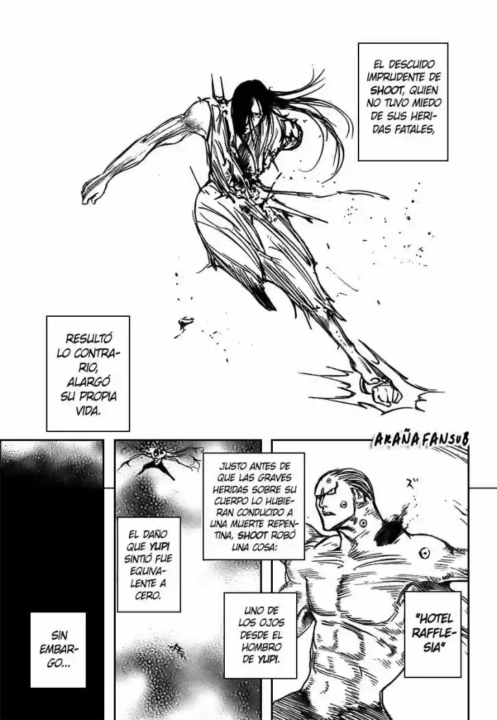 Hunter X Hunter (1998) - Capítulo 271 - Página 9 - LectorTMOo